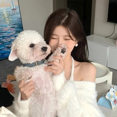 影子军队